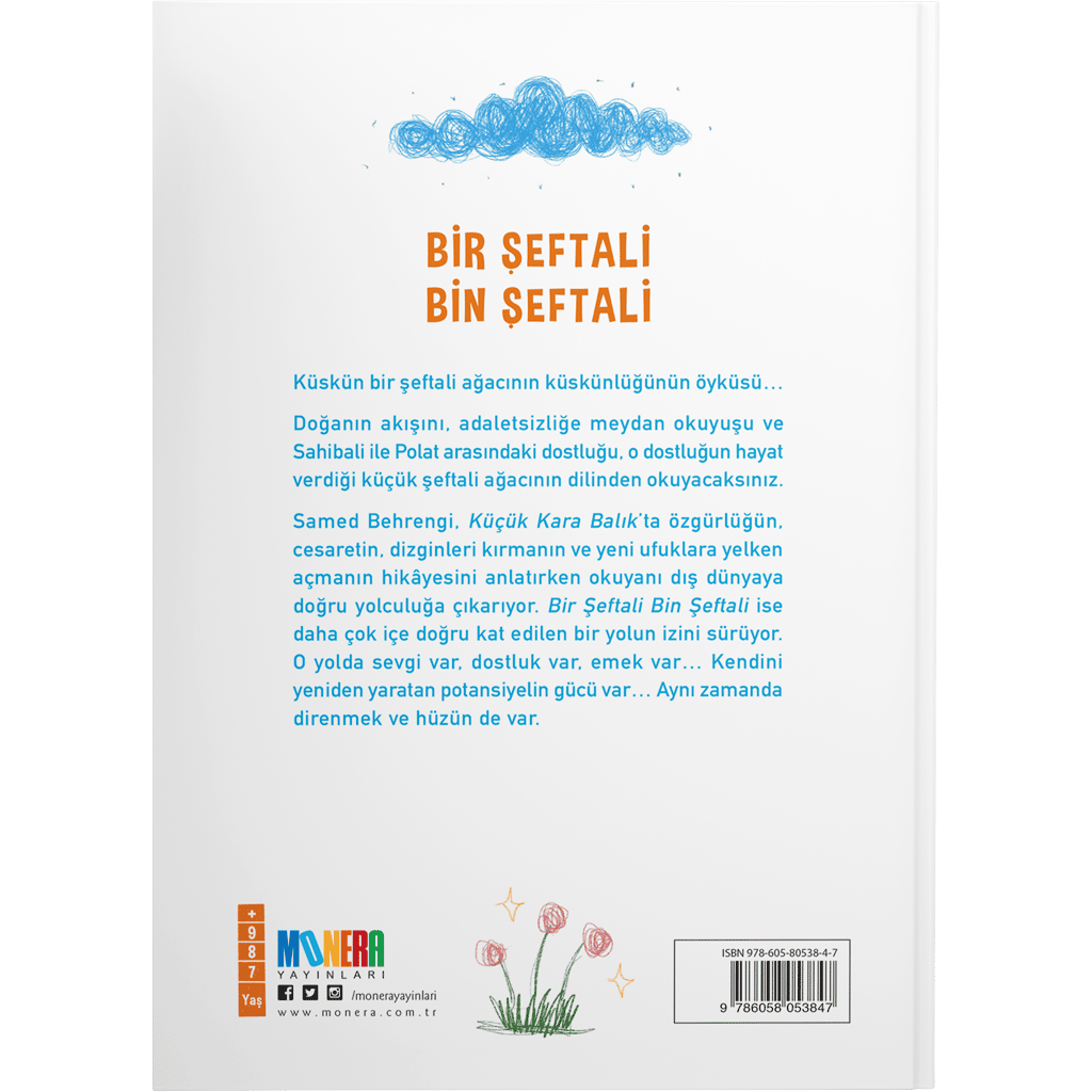 Bir Şeftali Bin Şeftali - Görsel 2