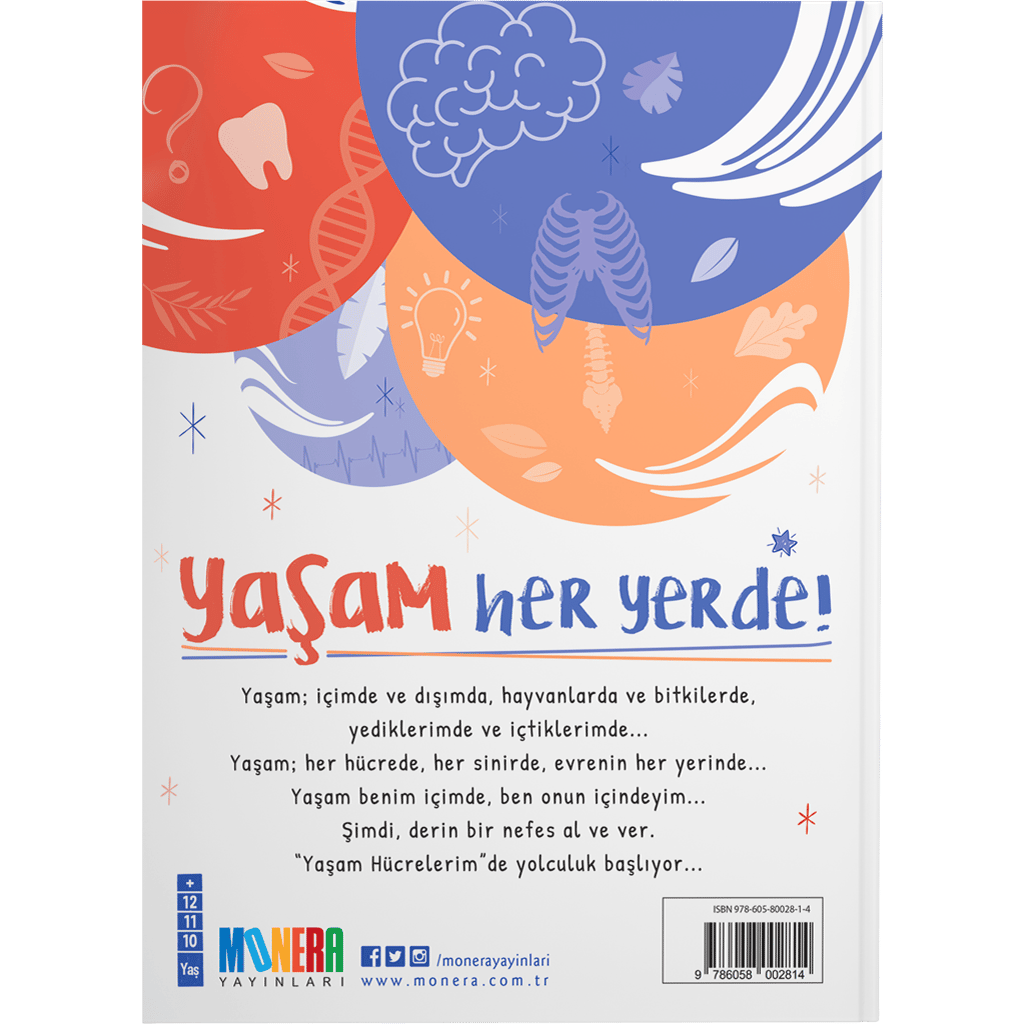 Yaşam Hücrelerim - Görsel 2