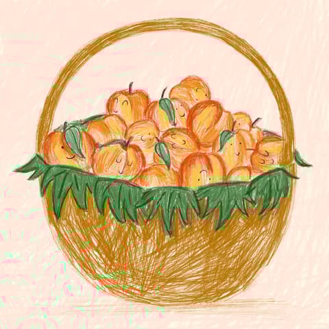 Kitap detayı görseli