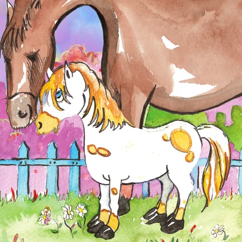 Kitap detayı görseli