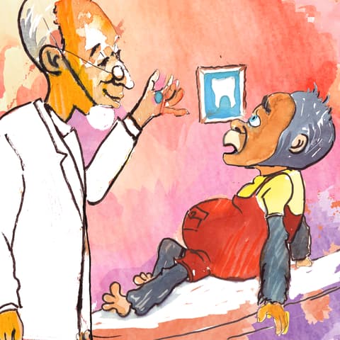 Kitap detayı görseli