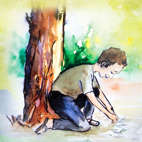 Kitap detayı görseli